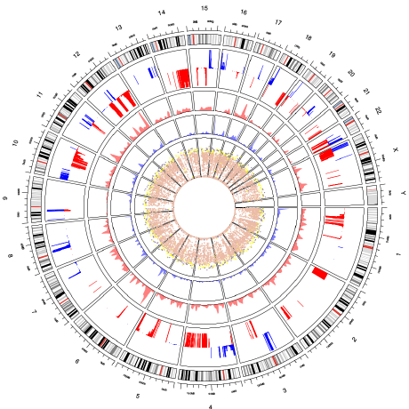 Circos plot of a cancer genome: chromosomes around the circle, with copy-number, mutation and expression tracks inside